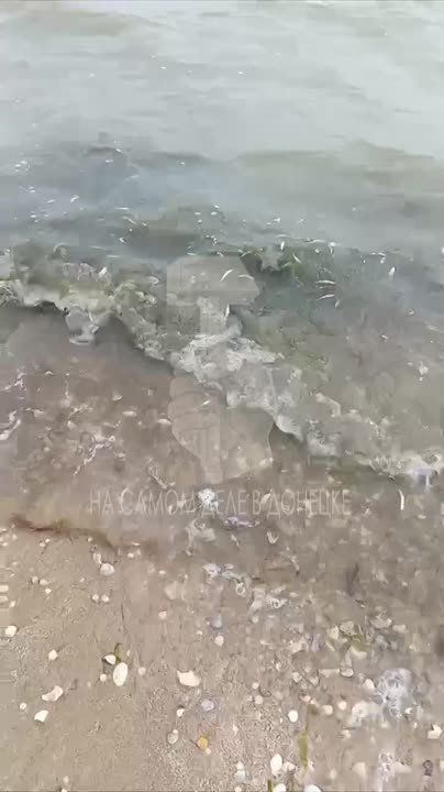 �������� ������ ���� �� �������� ���������
