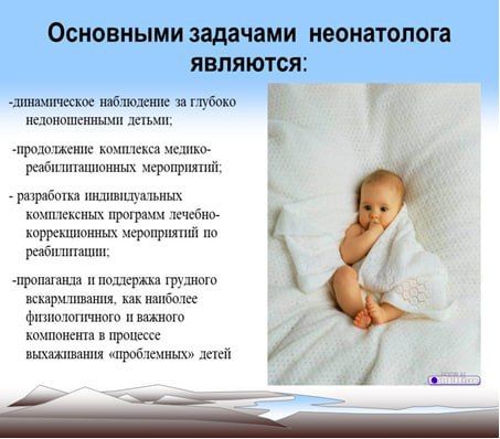 5 ������ - ���� �����������