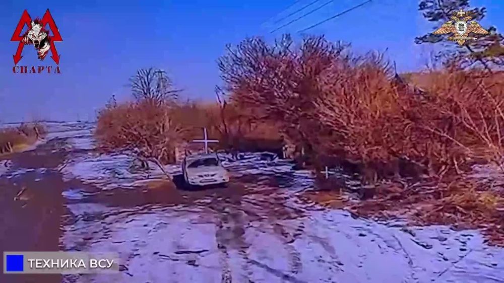 ����������� ����������� � �������������� ���������� FPV-������� "������"