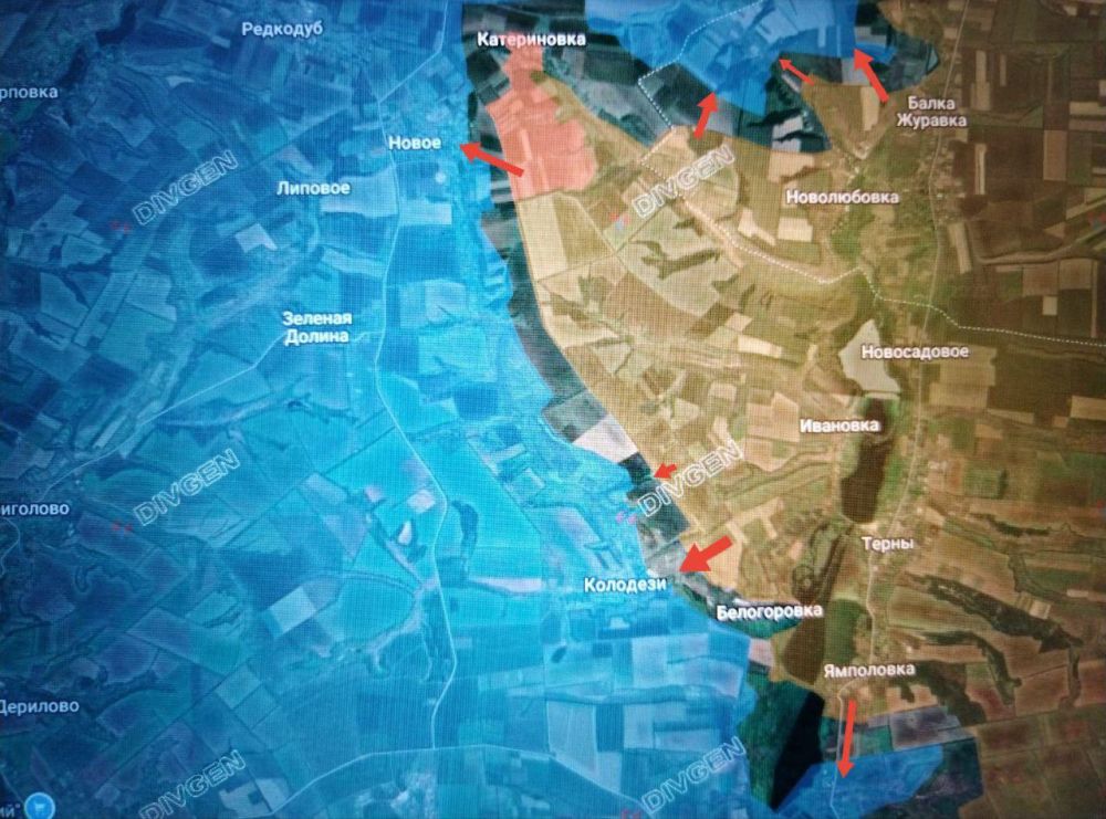 �� ��������������� ����������� ������������� ��� "�����" ���������� �����������