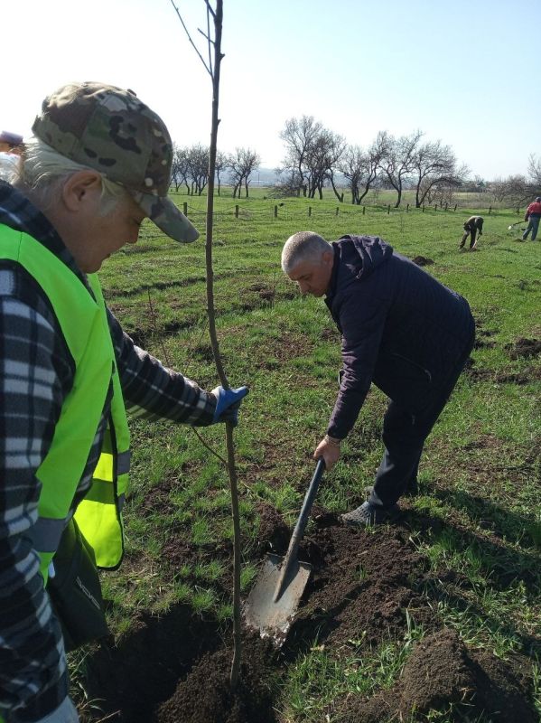 Силами коммунальных предприятий были проделаны работы по наведению чистоты и порядка на территории г. Моспино:
