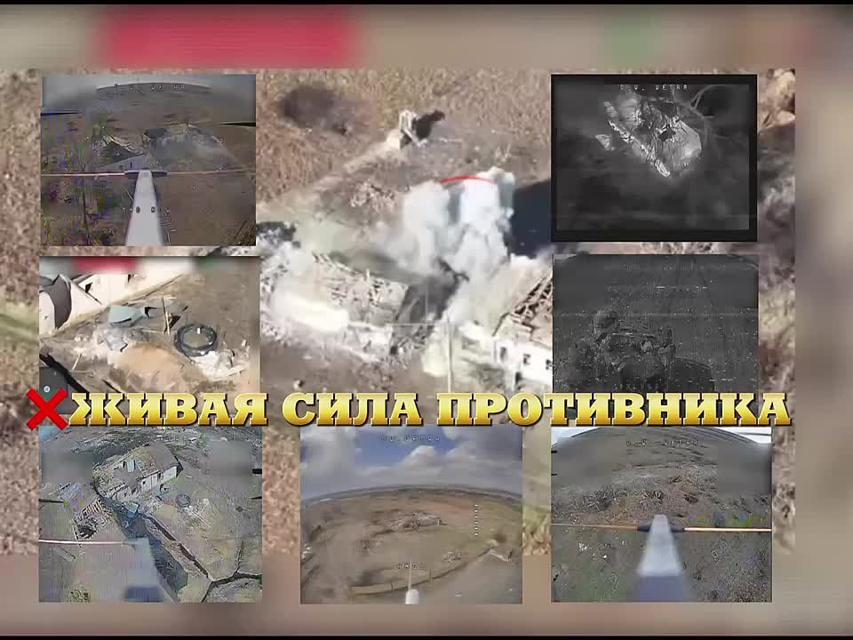 ���������� ������ ���������� ����������� ������ ������� ���� "��������������� �����" 29 ����������� ������������� ����� �� ����������� ����� ���� � ������� ���������� �� ���������� �����������