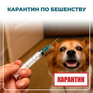 Александр Качанов: На основании ветеринарной экспертизы № 960/30-вир от 04.04.2025 в г. Докучаевске по ул. Мельникова, д. 18 выявлен положительный результат по бешенству