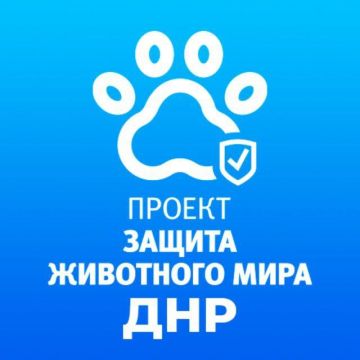 "Защита животного мира" в Ясиноватой