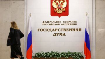 ГД одобрила освобождение от призыва на срочную службу добровольцев СВО и воевавших на Донбассе