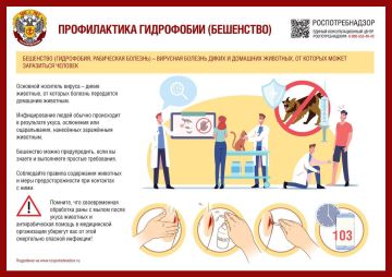 Профилактика бешенства