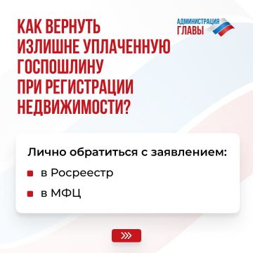 Александр Подгорный: Что нужно сделать, чтобы вернуть излишне уплаченную госпошлину при подаче документов на регистрацию недвижимости, рассказали в карточках