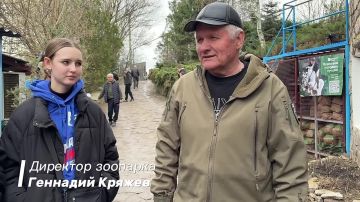 Заботимся о прекрасных зверьках вместе