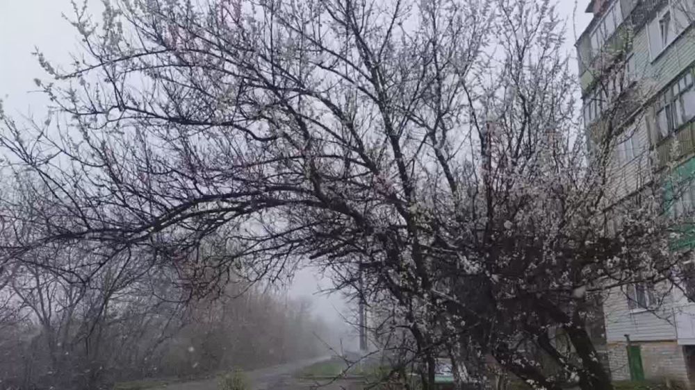 ������� ������: ���������� ���� �������� � �� ��������)