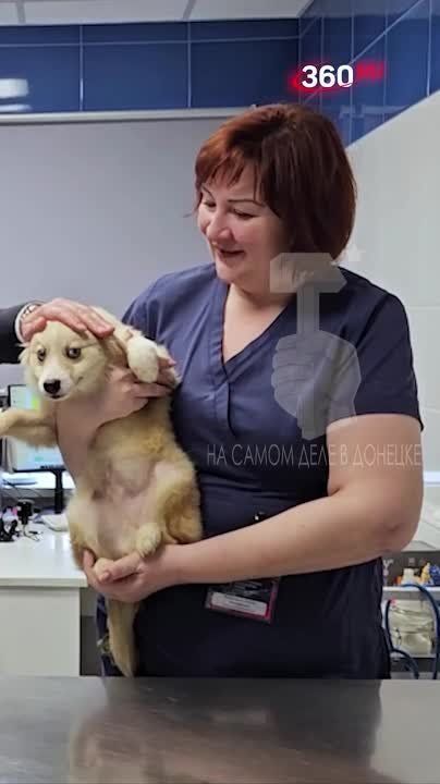������ ���� � �������� �������