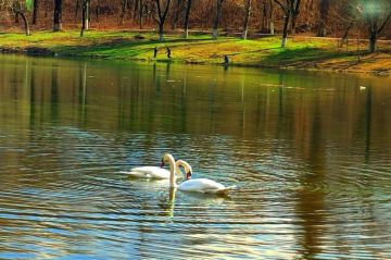 Доброе утро, Енакиево!. #НашОкруг #ЕнакиевоВобъективе #ТалантыЕнакиево