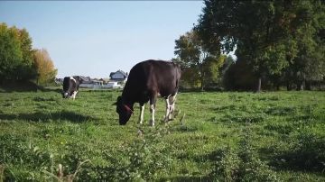 Молодёжь села запустила Всероссийский конкурс «Творчество на селе»