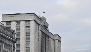 ГД приняла поправки об освобождении от призыва воевавших добровольцев