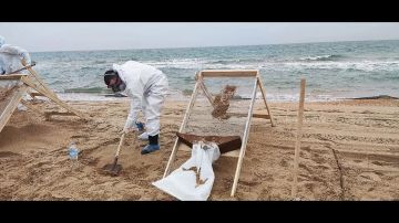 Команда волонтеров из Володарского МО помогает Анапе