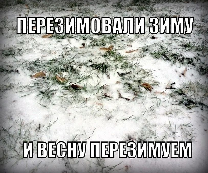 ������� �����.