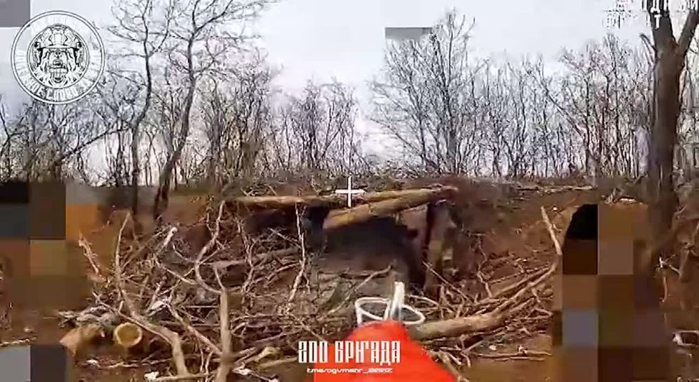 ������� ��������� ��������� ��������� 2�1 ��������� �� ����������� ������������