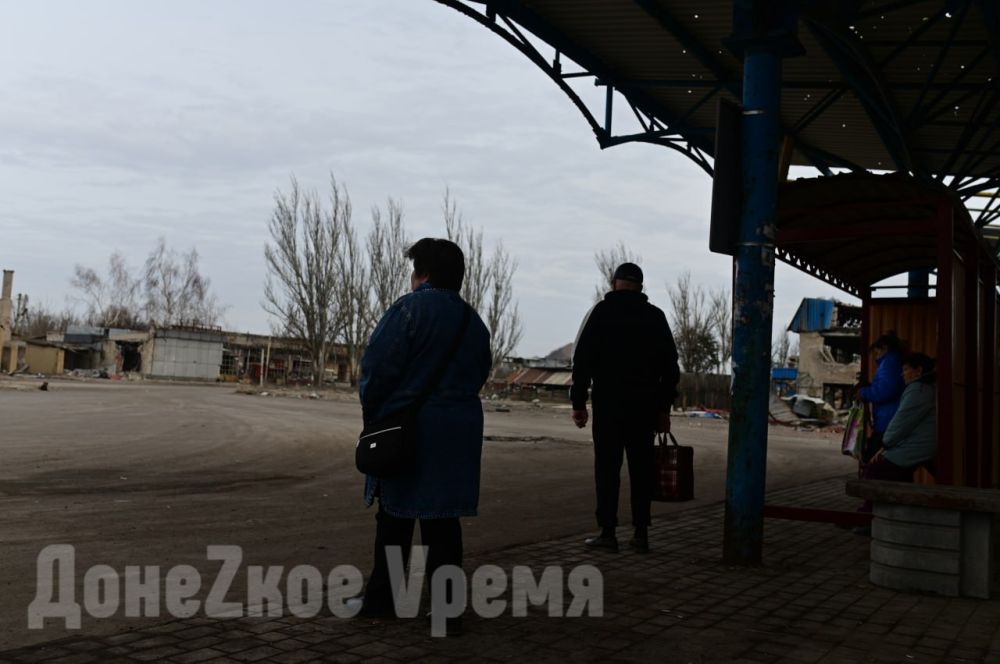 “Жители уставшие. Псы очень добродушные”: какой увидела АС “Трудовская” наш фотокорреспондент