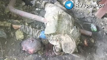 Бойня у Покровска: «тважные» бьют нацистов 425 полка «Скала» в Песчаном