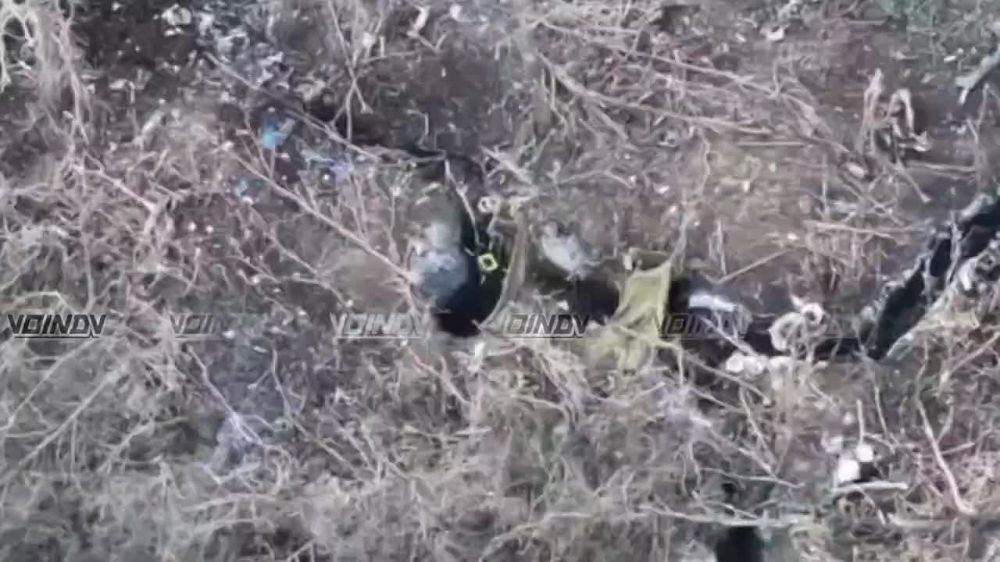 � ��� ���� ����� ������� "�����":