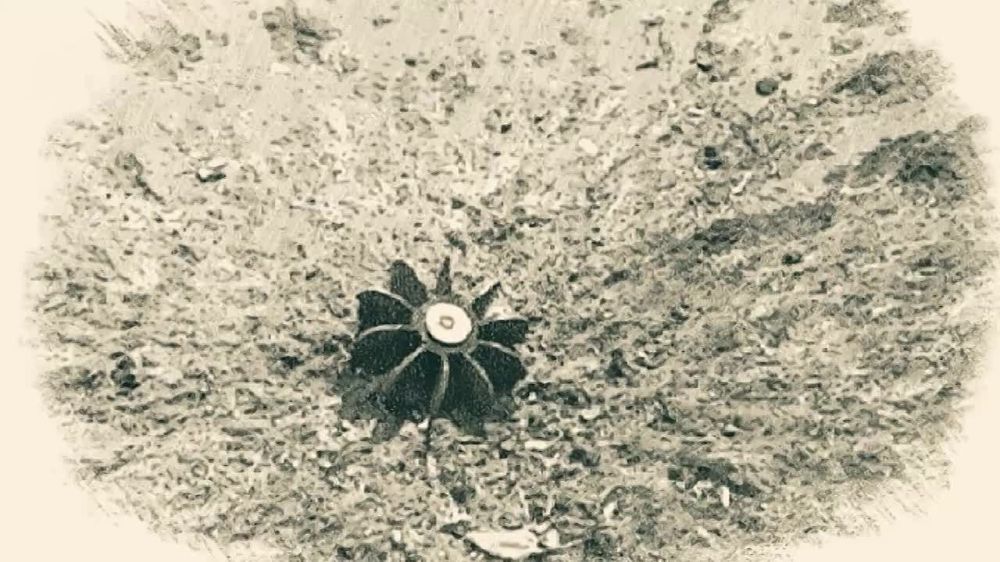 ���� �������: ������� �����: ��� ��� � ���� ������