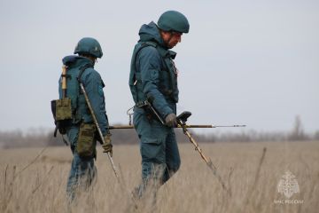 #МЧСДНР_СВОД за сутки. Ликвидировано 15 пожаров