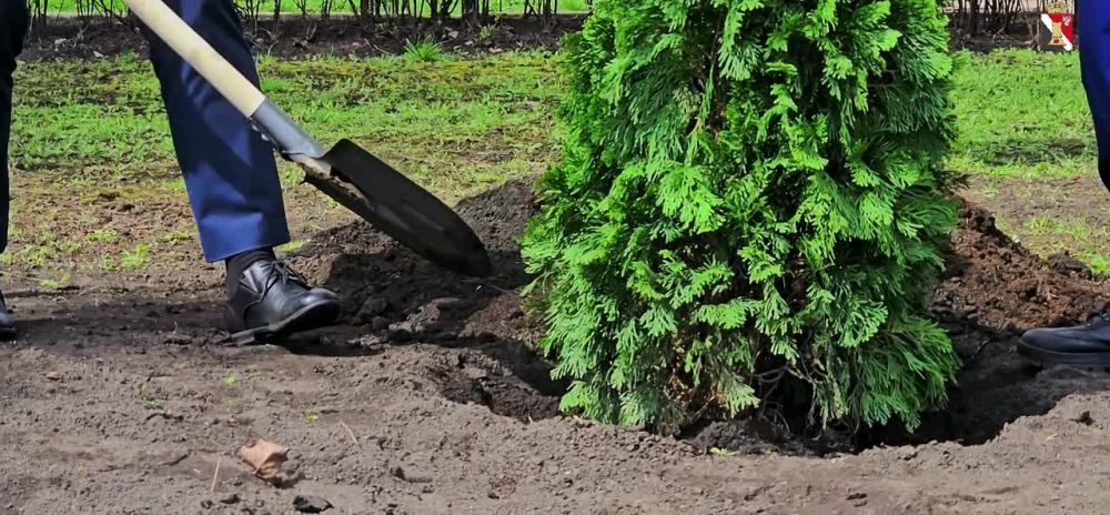 Игорь Мартынов: Память жива в зеленых насаждениях