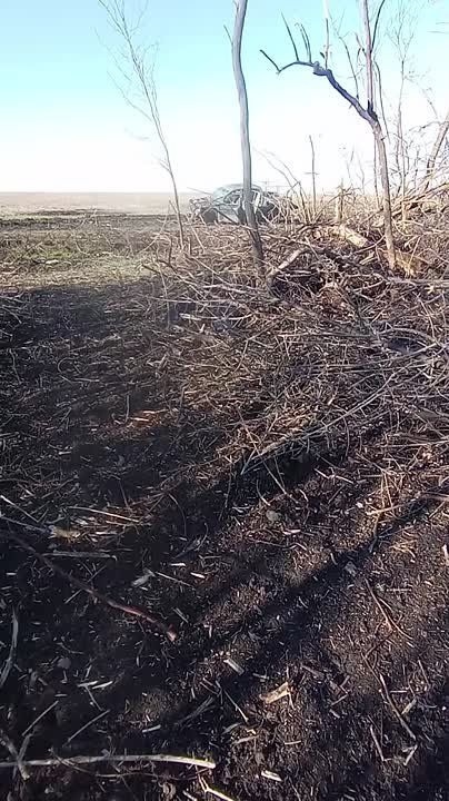 ������ �������: �������� ���� � �������� ��������� ������ �� ����-�������� �����������