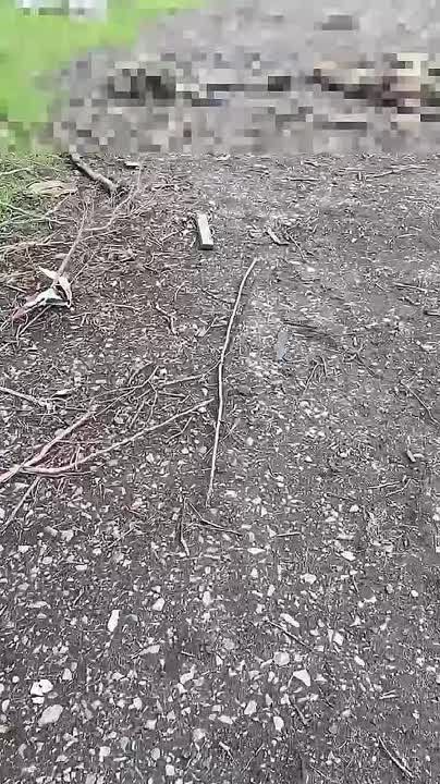 ������������ �� ����-�������� ����������� ������� ���������� ������������