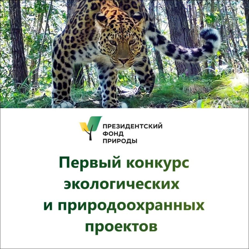 �������� ������: ������������� ���� ������� ������� ������� �� �������������� ������� ���������� ���������� ��������� �� ���������� ������������� � ��������������� �������� � 2025 ����