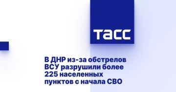 В ДНР из-за обстрелов ВСУ разрушили более 225 населенных пунктов с начала СВО