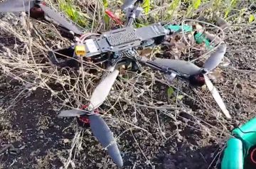 «Купол Донбасса» отразил атаку вражеского БПЛА на молокозавод в Горловке
