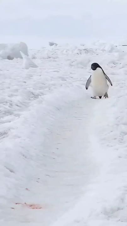 � ������ �����, ���������!