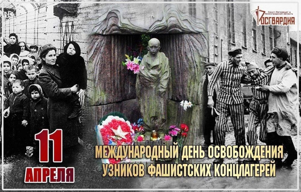 В начальной школе Ждановки прошел показ тематических фильмов ко Дню освобождения узников концлагерей