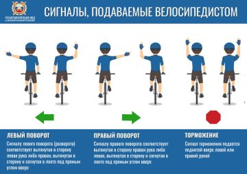 Велосипеды становятся все более популярным транспортным средством
