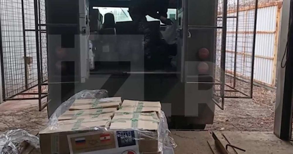Активисты из Ливана доставили в ДНР шесть тонн гуманитарной помощи
