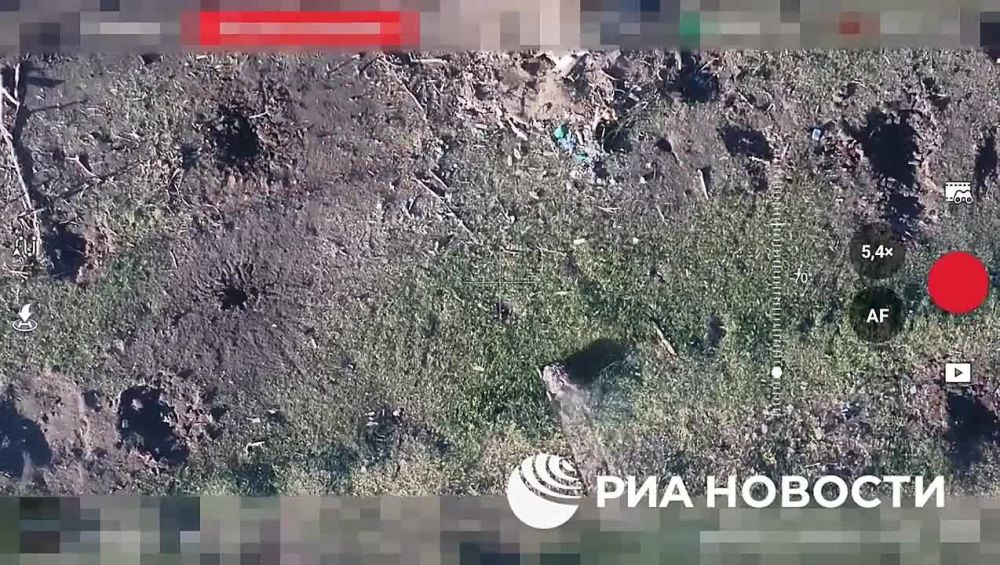 Владислав Шурыгин: Применение робота «Скорпион» в ходе СВО