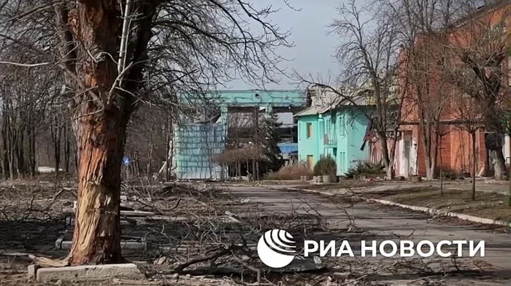 Активисты из Ливана приехали с гуманитарной помощью для местных жителей в Курахово в ДНР, рассказал РИА Новости представитель российско-ливанского Комитета солидарности Мостафа Габура