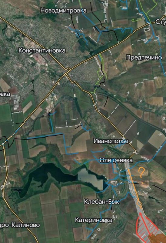 ���� �������: ����������������/����������� �����������