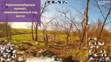 Александр Коц: Засади врагу под хвост. Ваш любимый отряд спецназначения «Вега» - с очередной порцией хитов на оптоволокне