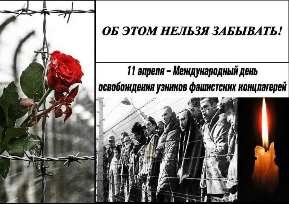� ����������� ��������� ���� ������ �������� ���, ��������� � ������������ ���������� ������� �������