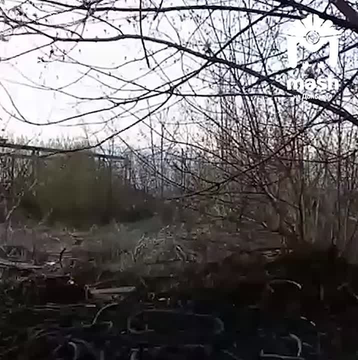 ��������������� �������� ������������ ���������� � ������