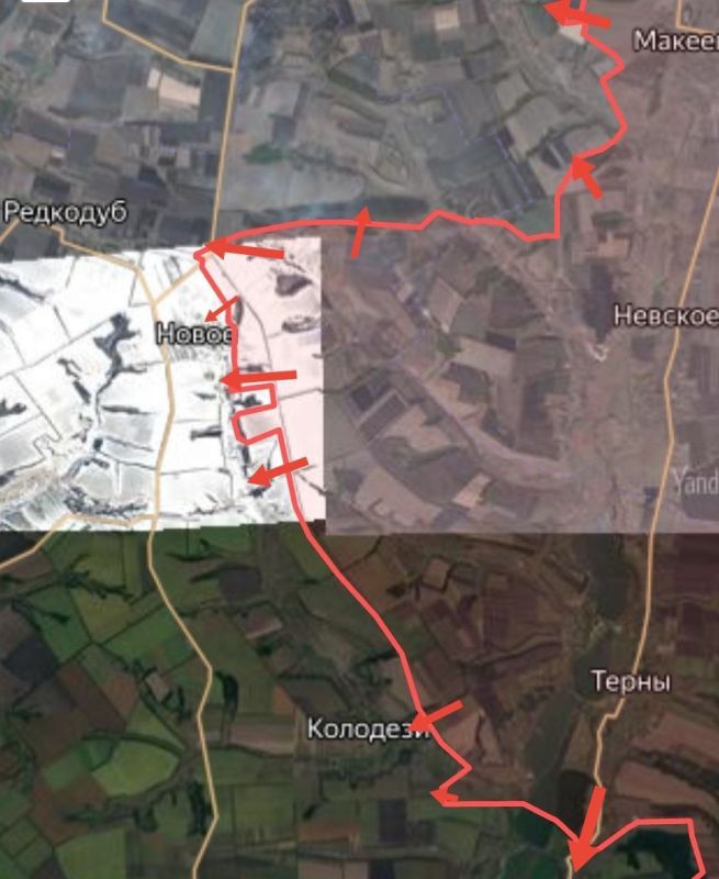 ���� �������: ��������������� �����������