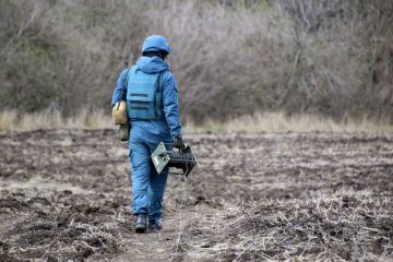 #МЧСДНР_СВОД за сутки. Ликвидировано 13 пожаров