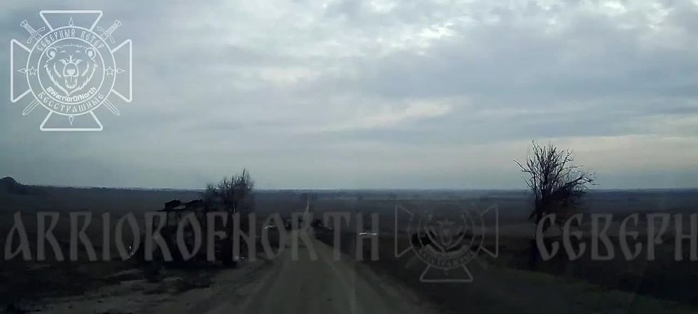 ���� ����: 36 ���������� ���� ���������� ���� � ������ ���������� ��� ��� ����������� ������: 18 � ��� ������� ���, 13 � ��� ����������, �� 2 � ��� ��������� � ������������ ���, ���� � ��� ������������� �����