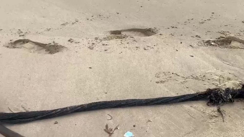 ����� ����������: �������� �� �������� � �����, ������ ������� �� ������� �������� �������� ���������� ����� �� �������� � ������������� ����� #�����������