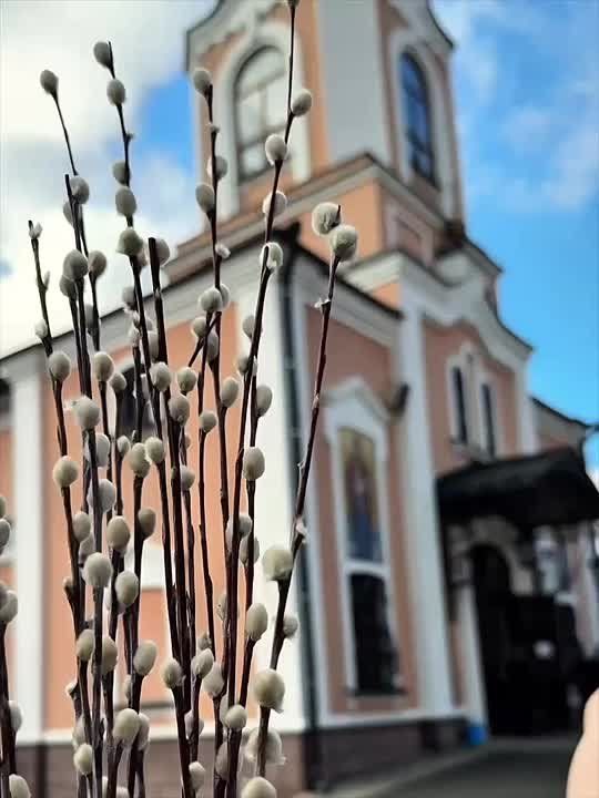 ����� ����������: ������� ������� ��������� ������� ����������� � ������������� ���� ������� � ���������