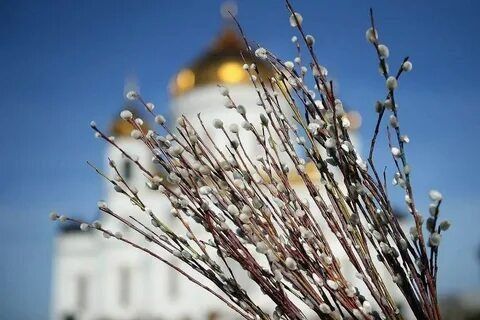 ���� ��������: ������� ������!. �������, � ������� �����������, ���� ���������� ��� � ���� ������� ����������! �����, ��� ������ �������� ������� �����, � ����� ����� ���������� ��������, ������� � ����� ������ � ��...