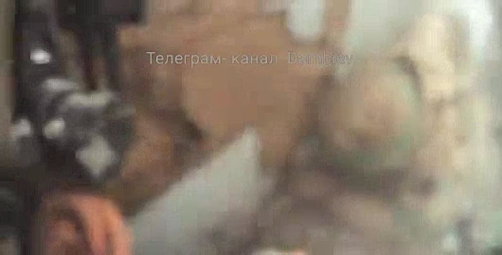 ������ �������: �������� ������ �� ���������� �������� �� ��� ����������� "����� ������������ ���������� "����"" � �������