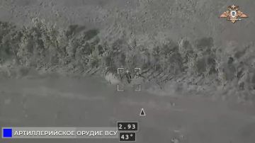 Уничтожение орудия Д-30 ВСУ западнее Клебан-Бык