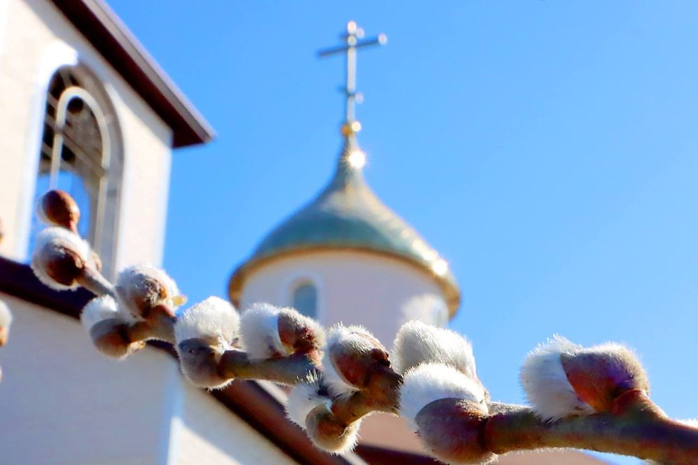 Андрей Чертков: Со светлым праздником, православные! С Вербным воскресеньем!